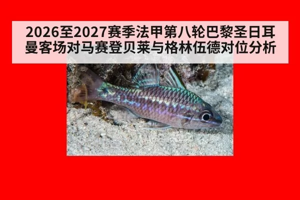 2026至2027赛季法甲第八轮巴黎圣日耳曼客场对马赛登贝莱与格林伍德对位分析